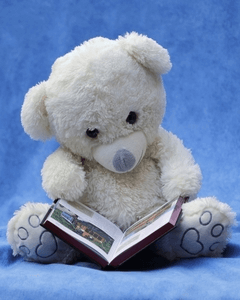 Plush Teddy Bear, White